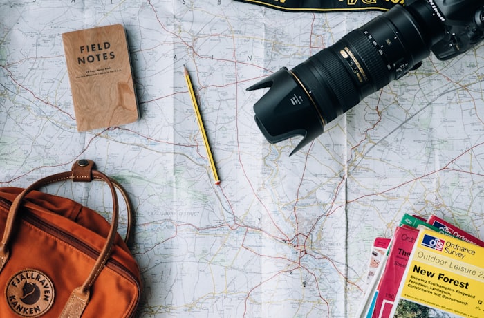 Professional travel organization